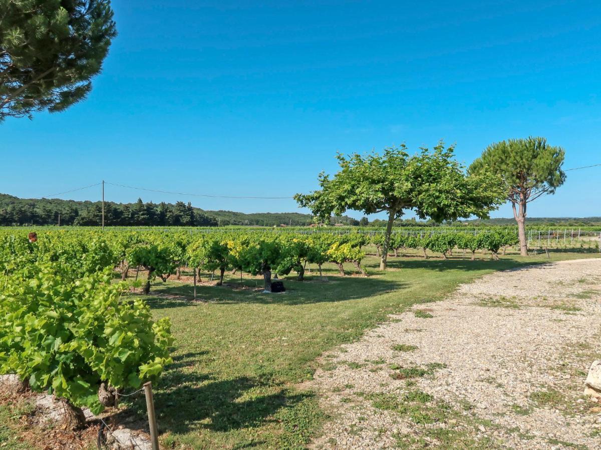 Holiday Home La Cardeline By Interhome Grillon Exterior foto